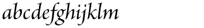 Brioso Pro SubHead Medium Italic Font LOWERCASE