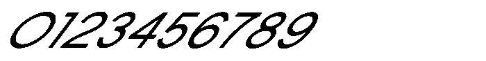 Brraelyn Italic Font OTHER CHARS