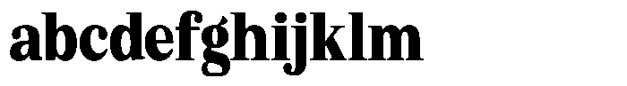 Bruchey Black Condensed FONT