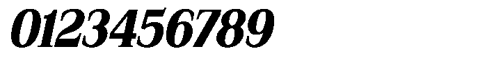 Bruchey Black Slanted Condensed Font OTHER CHARS