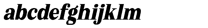 Bruchey Black Slanted Condensed FONT