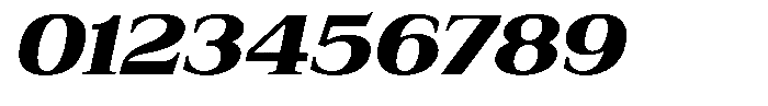 Bruchey Black Slanted Expanded Font OTHER CHARS