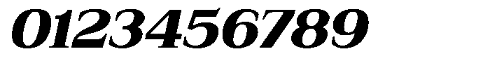 Bruchey Black Slanted Semi Expanded Font OTHER CHARS