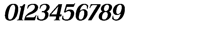 Bruchey Bold Slanted Semi Condensed Font OTHER CHARS