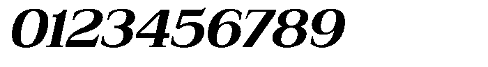 Bruchey Bold Slanted Semi Expanded Font OTHER CHARS