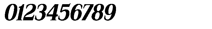 Bruchey Extra Slanted Condensed Font OTHER CHARS