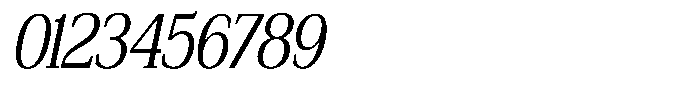 Bruchey Light Slanted Condensed Font OTHER CHARS