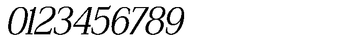 Bruchey Light Slanted Semi Condensed Font OTHER CHARS