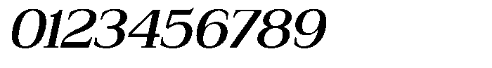 Bruchey Medium Slanted Semi Expanded Font OTHER CHARS