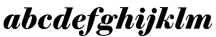 Brunel Text Bold Italic FONT