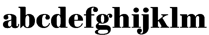 Brunel Text Bold FONT