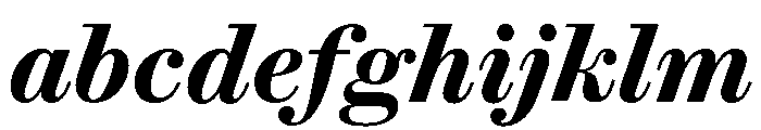 Brunel Text Short Semibold Italic FONT