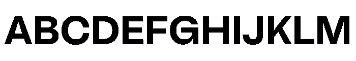BrutGrotesque Bold Font UPPERCASE