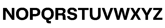 BrutGrotesque Bold Font UPPERCASE