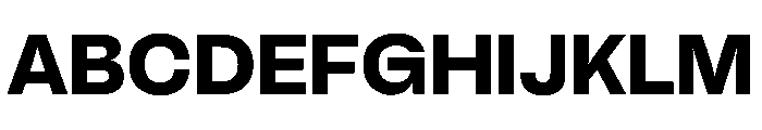 BrutGrotesque Extrabold Font UPPERCASE