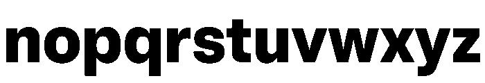 BrutGrotesque Extrabold Font LOWERCASE