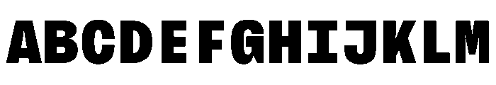 BrutGrotesqueMono Black Font UPPERCASE