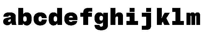 BrutGrotesqueMono Black FONT