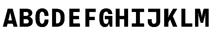 BrutGrotesqueMono Bold Font UPPERCASE