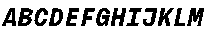 BrutGrotesqueMono BoldItalic Font UPPERCASE
