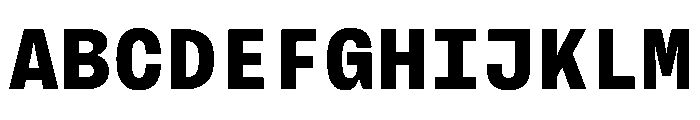 BrutGrotesqueMono Extrabold Font UPPERCASE