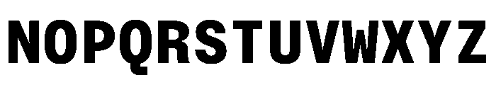 BrutGrotesqueMono Extrabold Font UPPERCASE