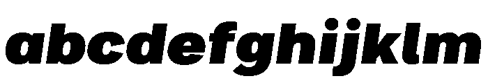 Bruta Black Italic FONT