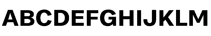 Bruta Bold Font UPPERCASE