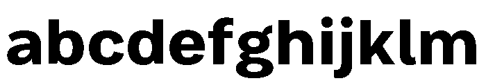 Bruta Bold FONT