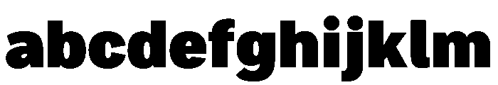 Bruta Condensed Black FONT