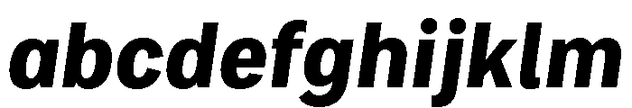 Bruta Condensed Bold Italic FONT