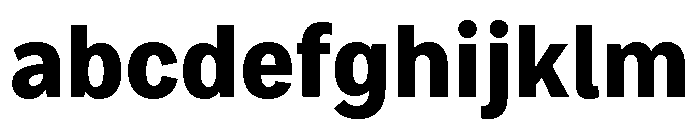 Bruta Condensed Bold FONT