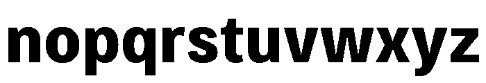 Bruta Condensed Bold Font LOWERCASE