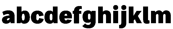 Bruta Condensed Extra Bold FONT
