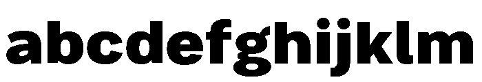 Bruta Extra Bold FONT