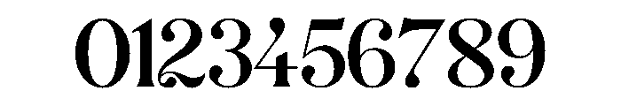 BSMilkshakeDisplay Book Instance Font OTHER CHARS