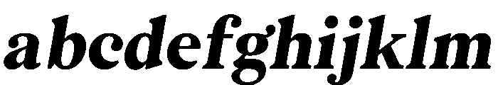 BSMilkshakeText HeavyItalic Instance FONT