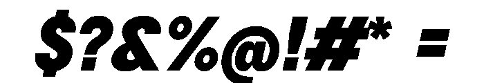 BSNotion BlackItalic Instance Font OTHER CHARS