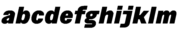 BSNotion BlackItalic Instance FONT