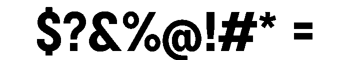 BSNotion Bold Instance Font OTHER CHARS