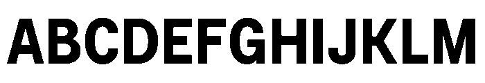 BSNotion Bold Instance Font UPPERCASE