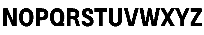 BSNotion Bold Instance Font UPPERCASE