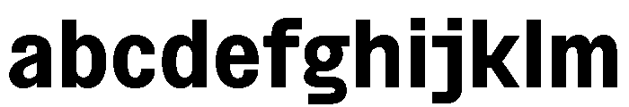 BSNotion Bold Instance FONT