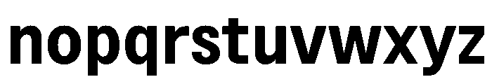 BSNotion Bold Instance Font LOWERCASE