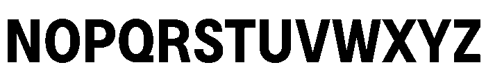 BSNotion Bold Font UPPERCASE