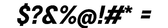BSNotion BoldItalic Instance Font OTHER CHARS