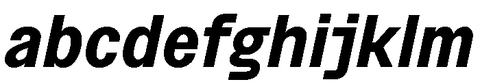 BSNotion BoldItalic Instance FONT