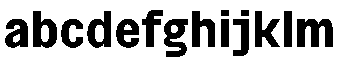 BSNotion Bold FONT