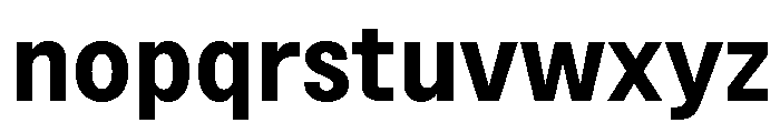 BSNotion Bold Font LOWERCASE