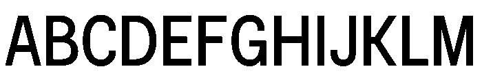 BSNotion Book Instance Font UPPERCASE